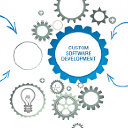 Customer Software Develpoment