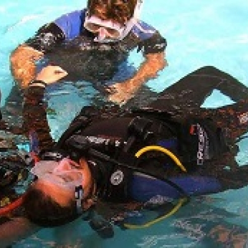 Padi Divemaster Training Program 